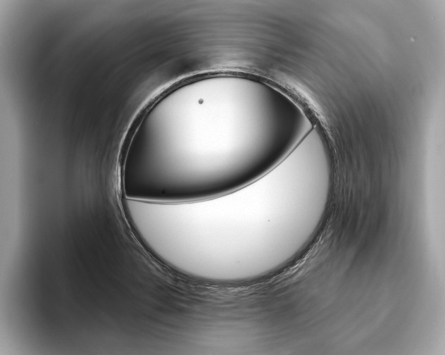 X0000094321324200711021106