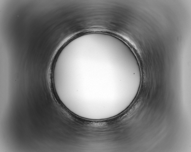 X0000094321325200711021106