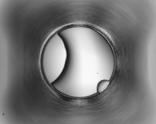 X0000094321327200711021106