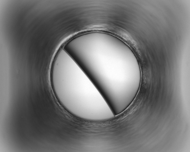 X0000094321328200711021106