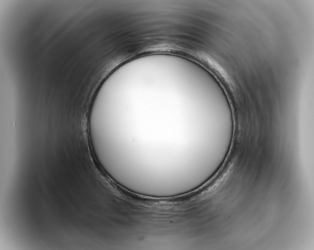 X0000094321329200711021106