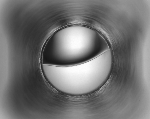 X0000094321330200711021106
