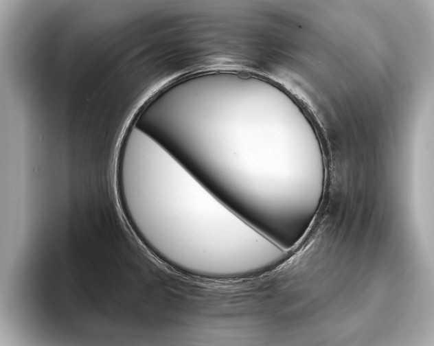 X0000094321333200711021106