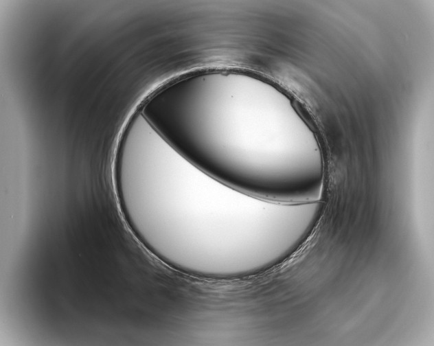 X0000094321334200711021106