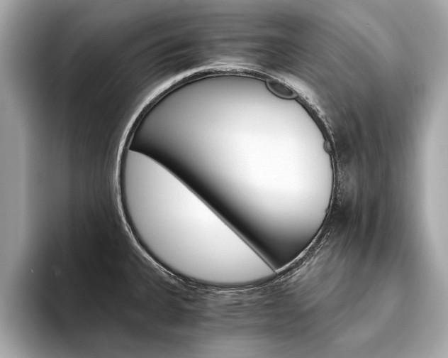 X0000094321335200711021106