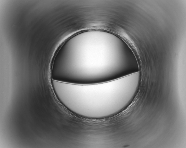 X0000094321336200711021106