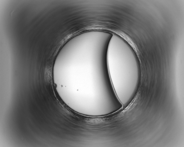 X0000094321337200711021106