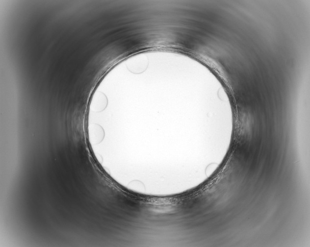 X0000094321338200711021106
