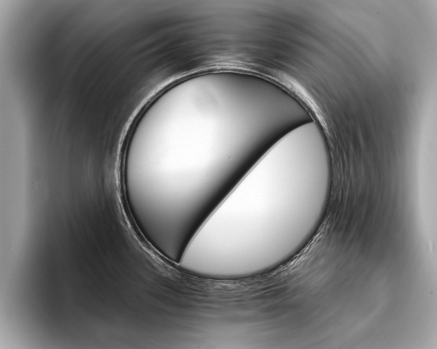 X0000094321339200711021106
