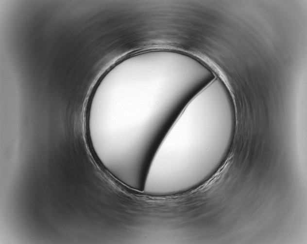 X0000094321341200711021106