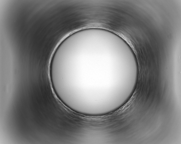 X0000094321342200711021106