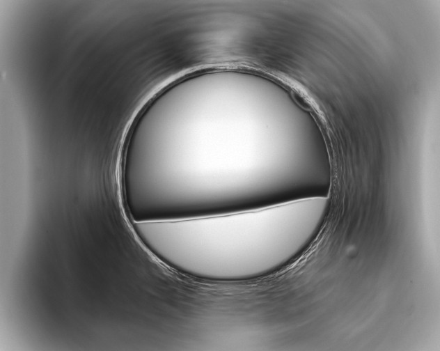 X0000094321343200711021106