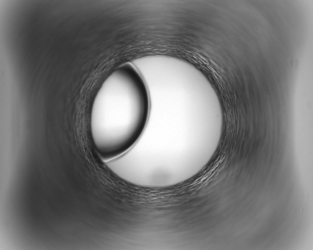 X0000094321345200711021105