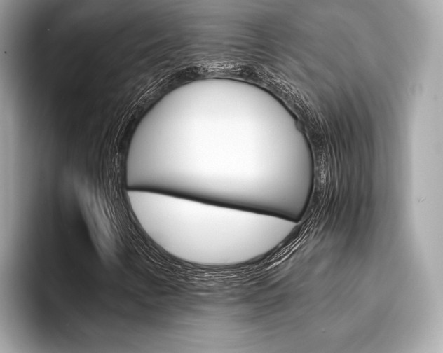 X0000094321346200711021105