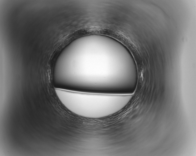 X0000094321348200711021105