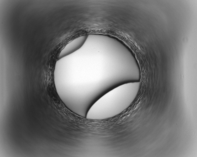 X0000094321350200711021105