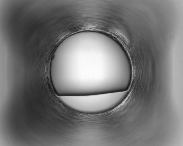 X0000094321353200711021105