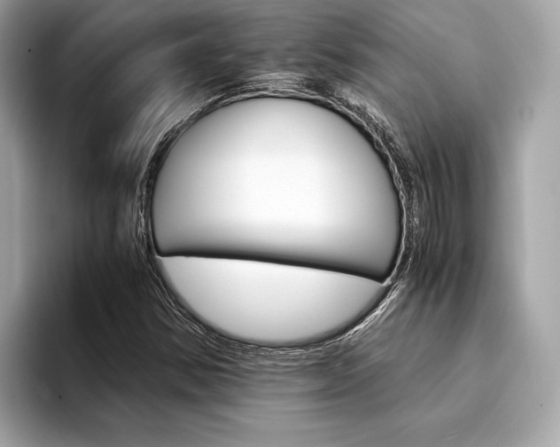 X0000094321354200711021105