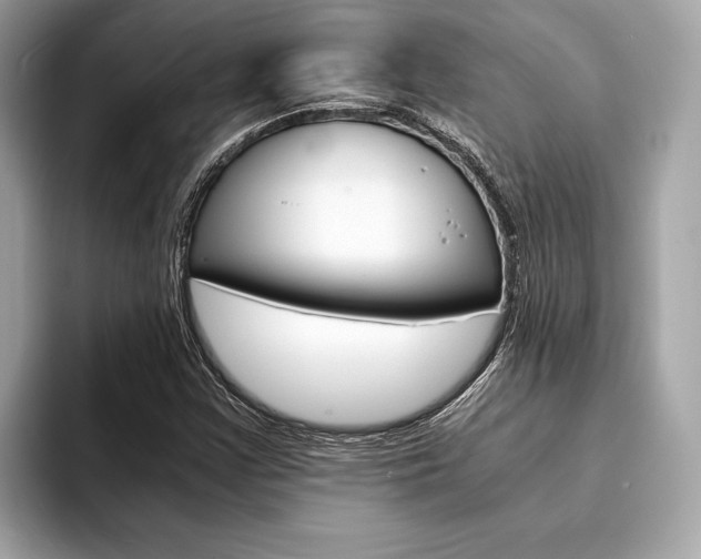 X0000094321355200711021105