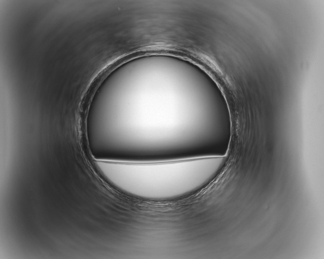 X0000094321356200711021105