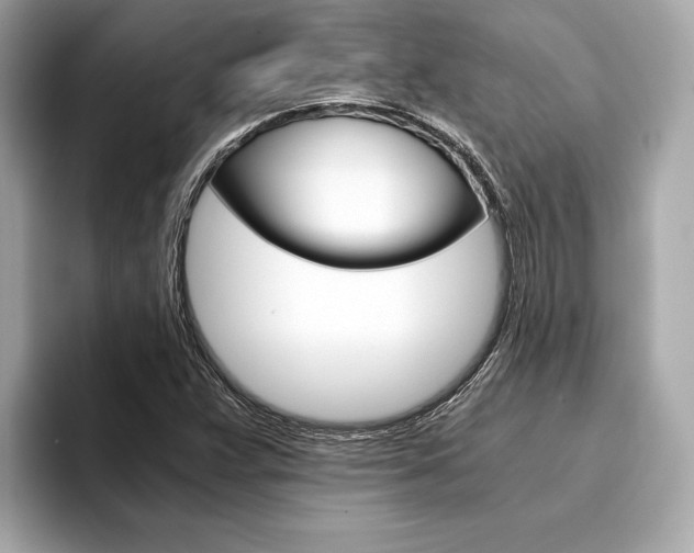 X0000094321359200711021105