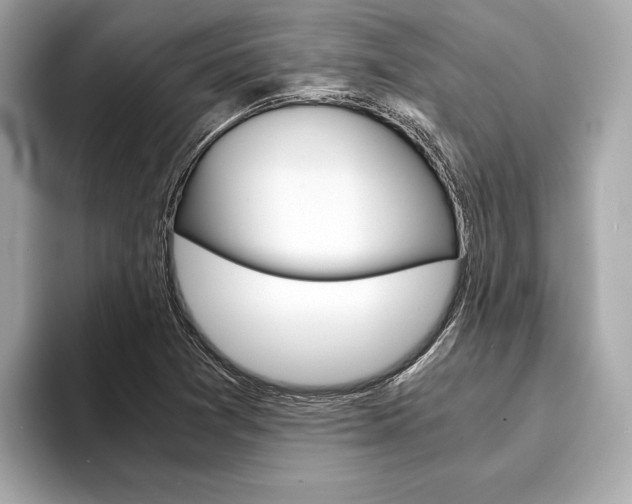 X0000094321361200711021105