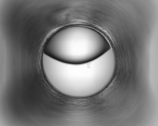 X0000094321363200711021105