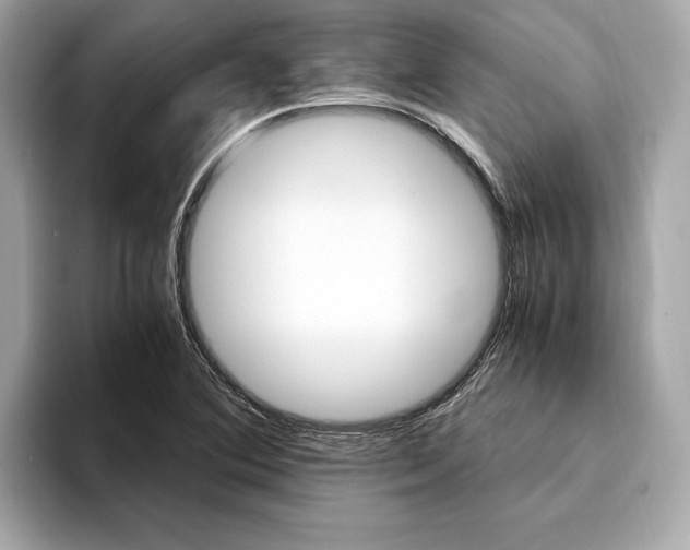 X0000094321364200711021105