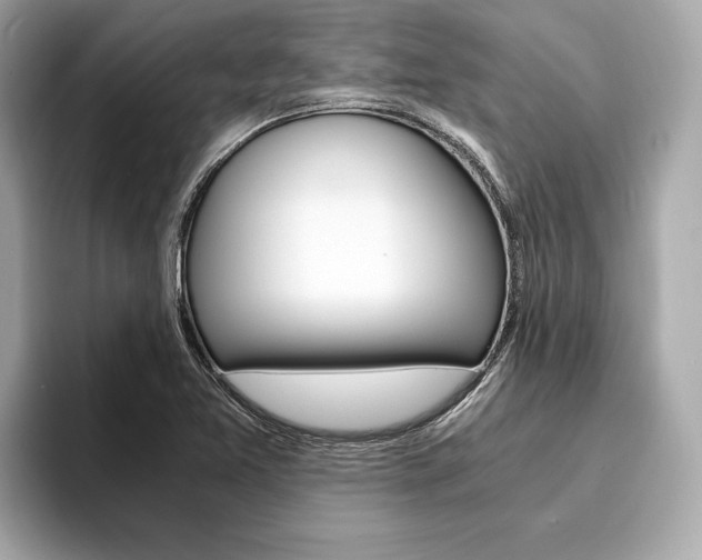 X0000094321365200711021105