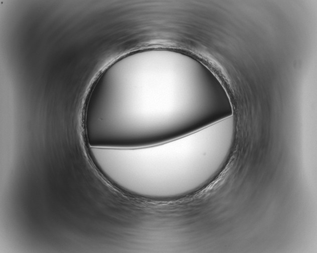 X0000094321373200711021105