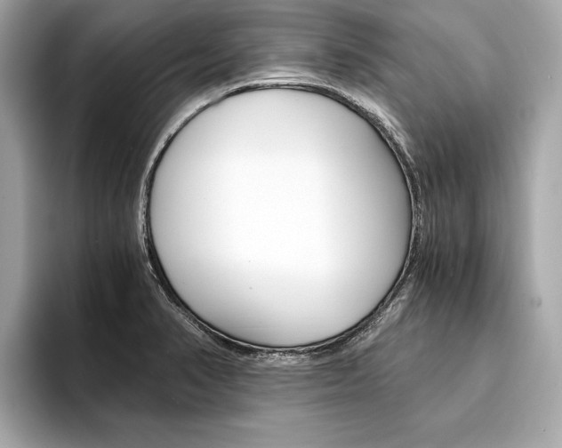 X0000094321374200711021105