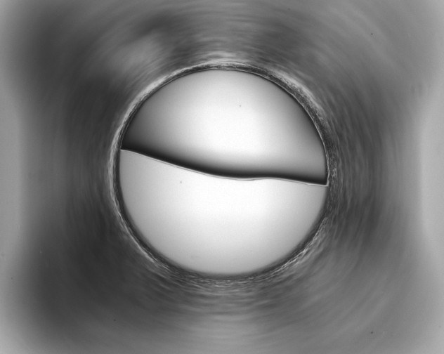 X0000094321375200711021105