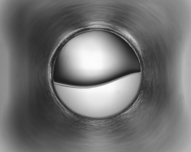 X0000094321376200711021105