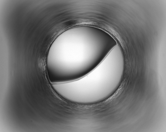 X0000094321377200711021105