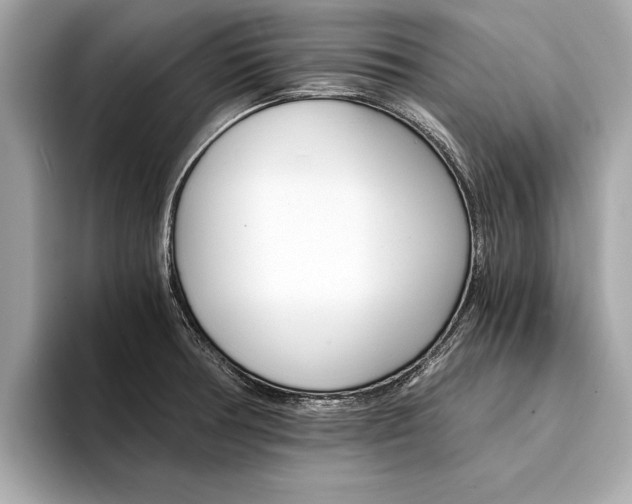 X0000094321378200711021105