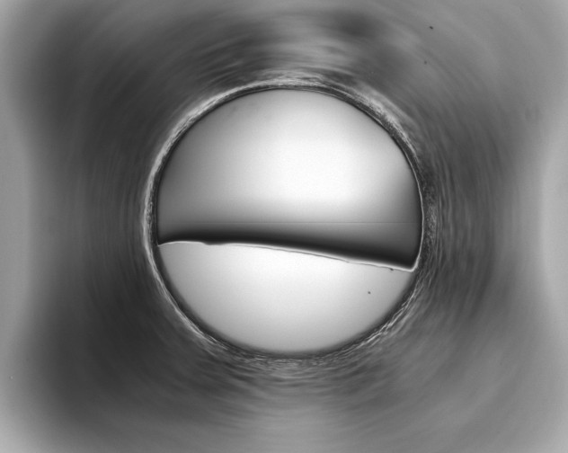 X0000094321379200711021105