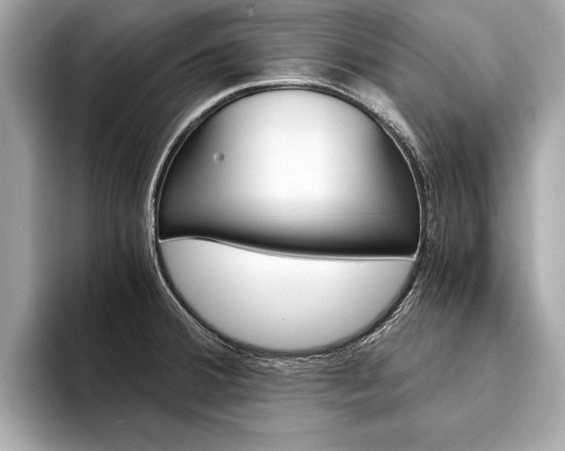 X0000094321380200711021105