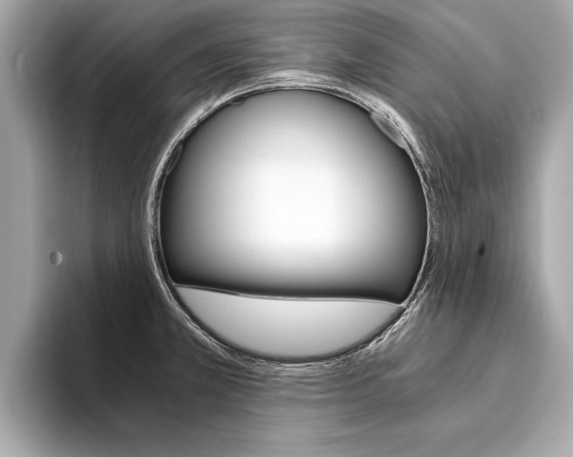 X0000094321381200711021105