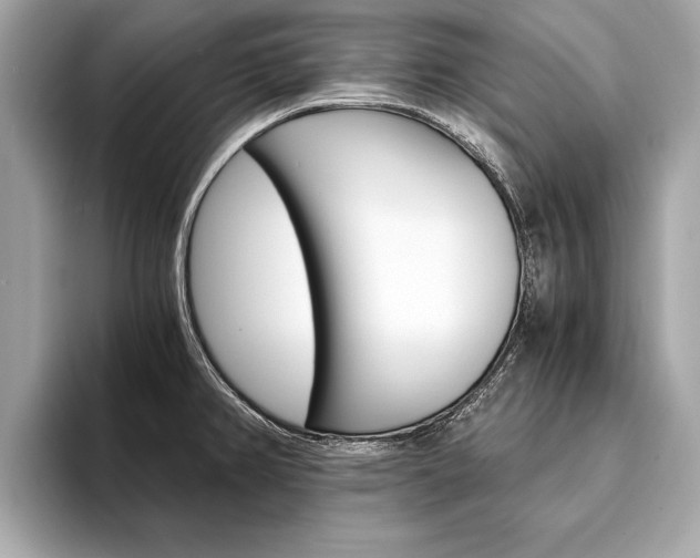 X0000094321382200711021105