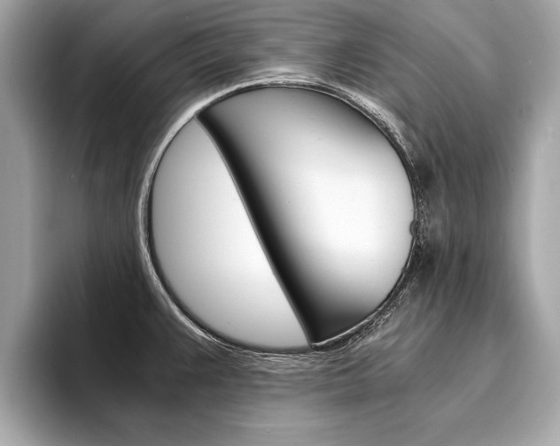 X0000094321383200711021105