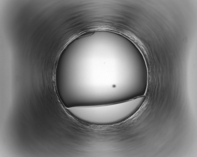 X0000094321385200711021105
