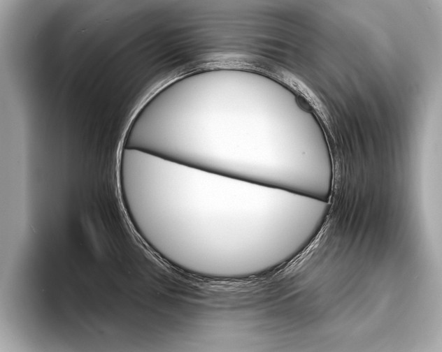 X0000094321386200711021105