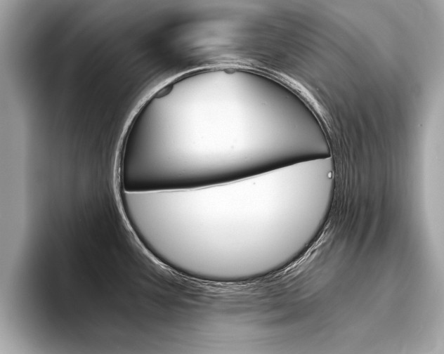 X0000094321387200711021105