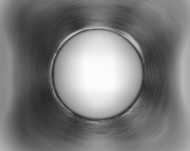 X0000094321388200711021105