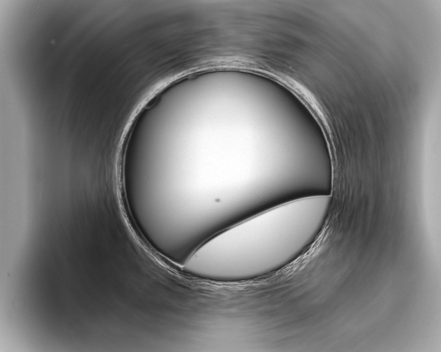 X0000094321389200711021105