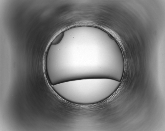 X0000094321390200711021105