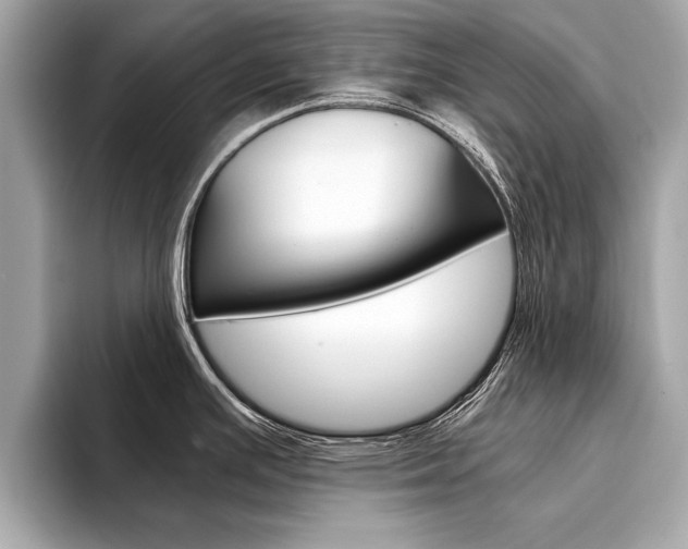 X0000094321391200711021105