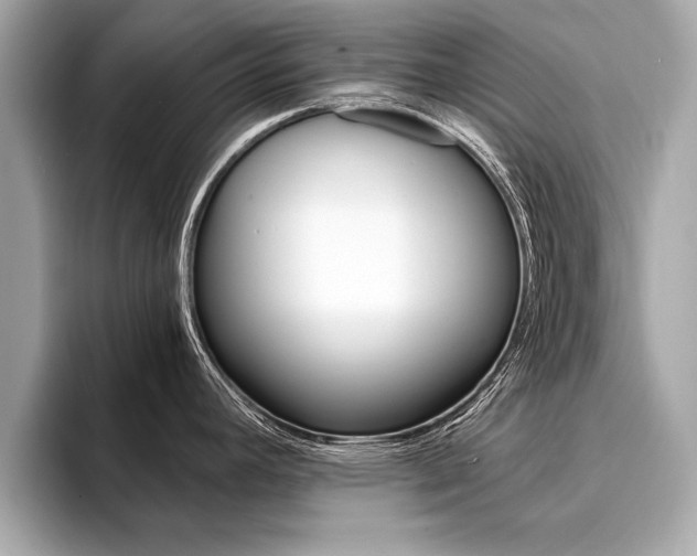 X0000094321392200711021105