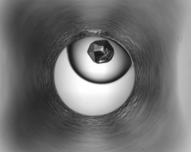 X0000094321394200711021104
