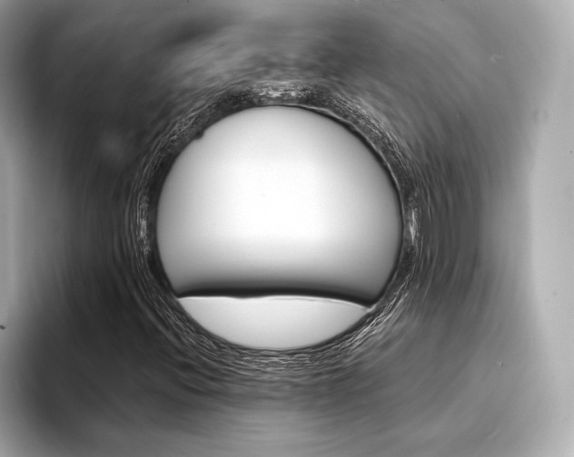 X0000094321396200711021104
